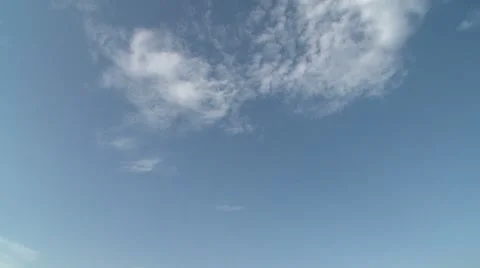 Sunflower 4 Stock Footage 8510309