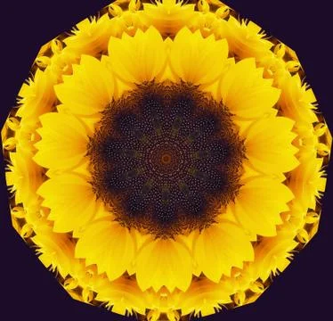 Sunflower abstract Stock Illustration
