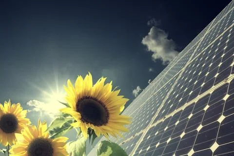 Sunflower against the light with solar panel Stock Photos
