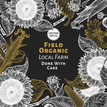 Sunflower and corn frame template. Sunflower banner design. Vector hand drawn Stock Illustration