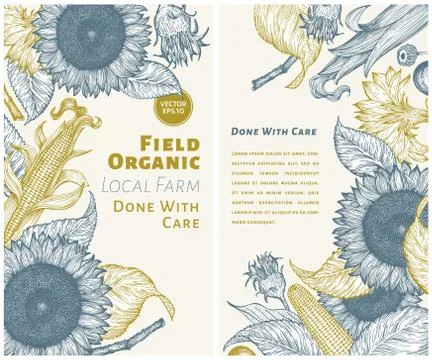 Sunflower and corn gesign template. Sunflower banners. Vector hand drawn Stock Illustration