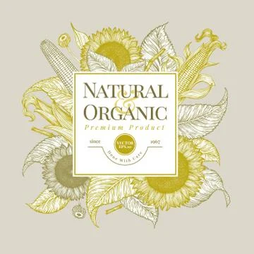 Sunflower and corn logo template. Sunflower banner design. Vector hand drawn Illustrazione stock