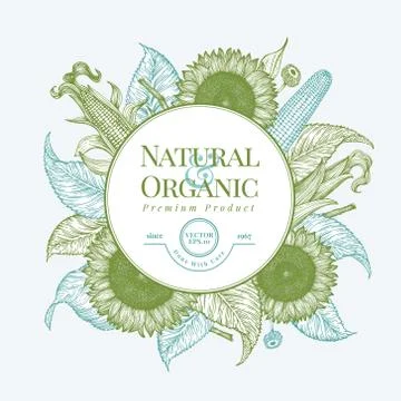 Sunflower and corn logo template. Sunflower banner design. Vector hand drawn Stock Illustration