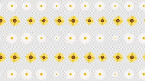 Sunflower and Daisy Seamless Pattern background. Fresh Floral pattern looped Stock Footage 244845587