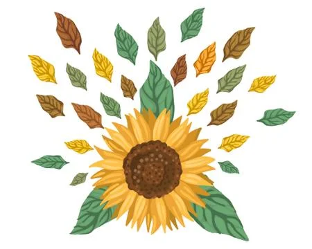 Sunflower and pattern with leaves around. Vector drawing Stock Illustration