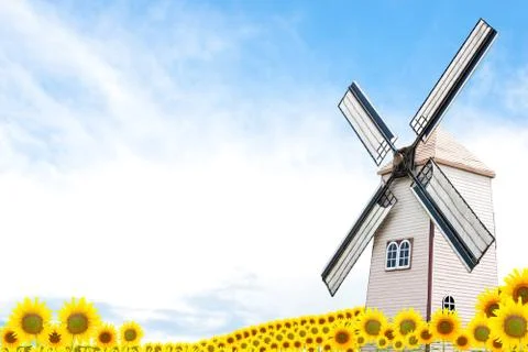 Sunflower and Wing Stock Illustration