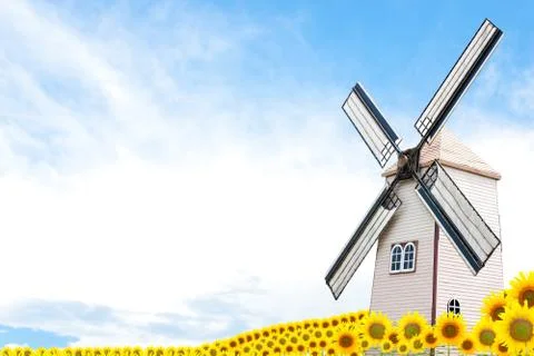 Sunflower and Wing Stock Illustration