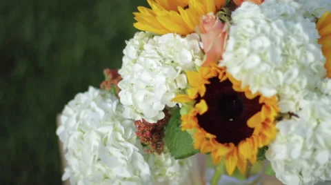 Sunflower Arrangement Stock Footage 66270683