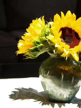 Sunflower arrangement Fotos Stock