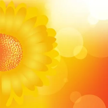 Sunflower background Stock Illustration