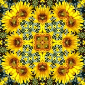 Sunflower background, kaleidoscopically generated, seamless Stock Illustration