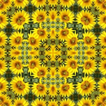 Sunflower background, kaleidoscopically generated, seamless Stock Illustration