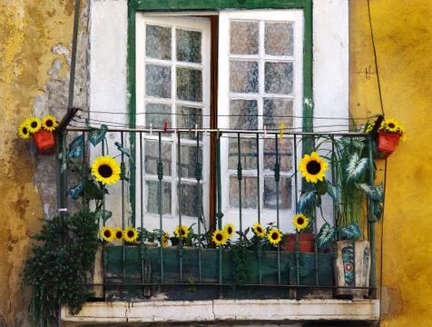 Sunflower balcony Stock Photos