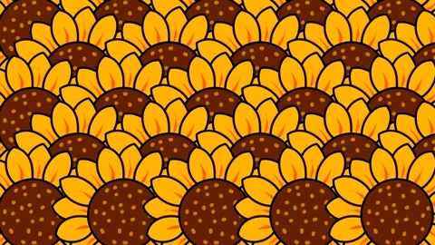 Sunflower Bloom Transition on Green Screen - Flower Growth Animation fills the s Stock Footage 321261885