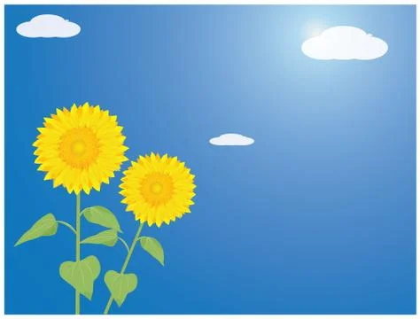 Sunflower with blue background vector design Stock Illustration
