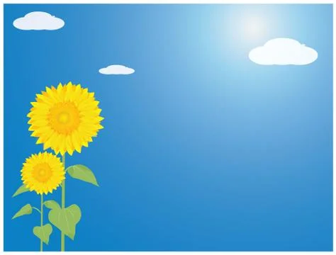 Sunflower with blue background vector design Stock Illustration