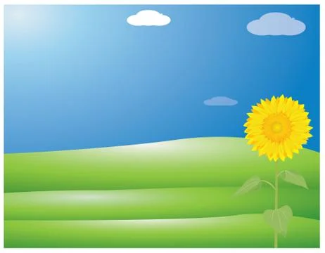 Sunflower with blue background vector design Stock Illustration