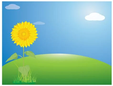 Sunflower with blue background vector design Stock Illustration