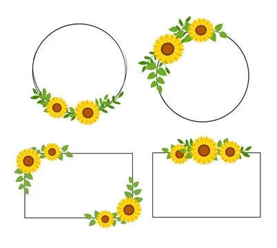 Sunflower border frame background. Sunflower template invitation greeting car Stock Illustration