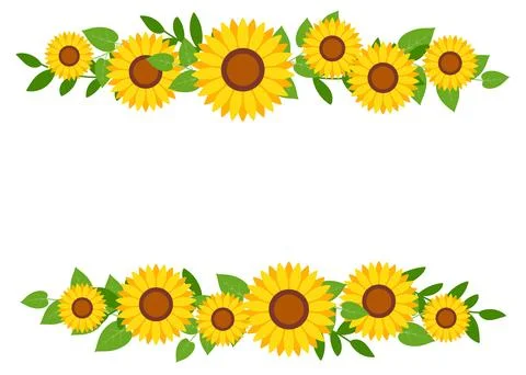 Sunflower border frame background. Sunflower template invitation greeting car Stock Illustration