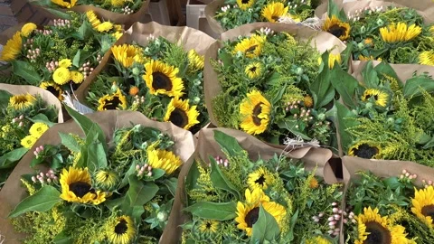 Sunflower Bouquet Stock Footage 316926229