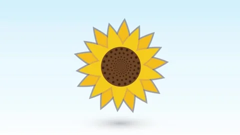 A sunflower changing colors on white background with shadow illustration Stock Footage 286979449