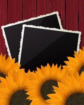 Sunflower collage Stock Illustration
