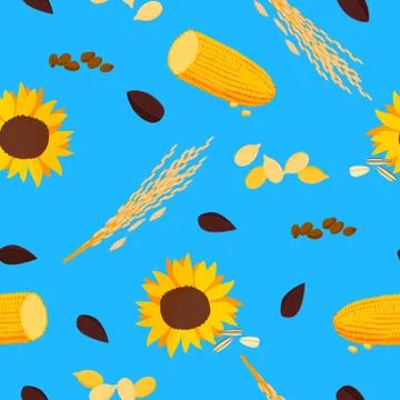 Sunflower with corn seamless pattern. Bright yellow flower with brown seeds Stock Illustration