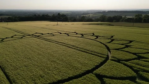 Sunflower Crop Circle Drone Sunset Clip, 7th June 2023, Potterne Wiltshire 4K Stock Footage 243238106