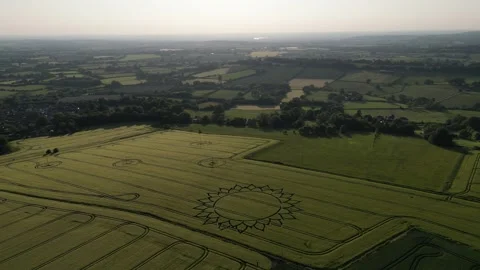 Sunflower Crop Circle Wide Drone Clip, 7 June 2023, Potterne Wiltshire 4K Stock Footage 243255145