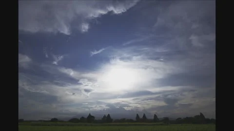 Sunflower Field Beneath an Iridescent Cloud - Zama, Kanagawa, Japan Stock Footage 343326817