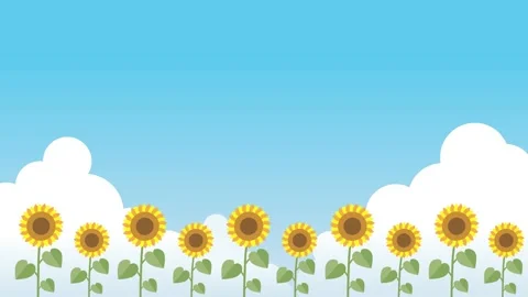 The sunflower field fluttering in the summer of blue sky and the wind Stock Footage 166208177