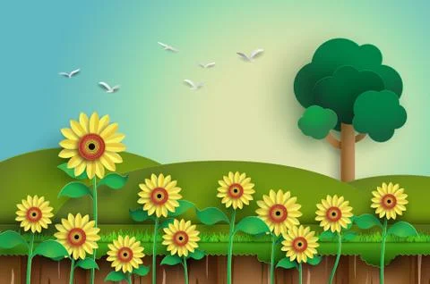 Sunflower field. Stock Illustration