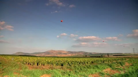 Sunflower Field - Timelapse Stock Footage 10946610