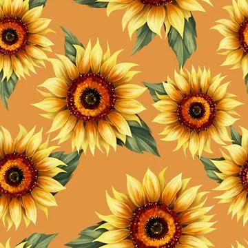Sunflower floral seamless pattern. Bright summer background Stock-Illustration