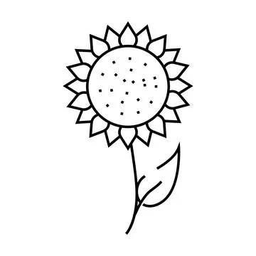 Sunflower flower line icon vector illustration Illustrazione stock