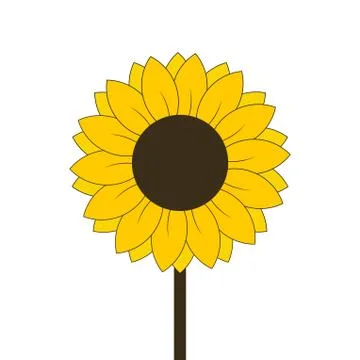 Sunflower flower on the stem Stock Illustration