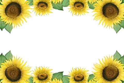 Sunflower frame design with copy space Stock Illustration