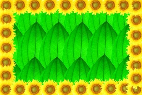 Sunflower frame on leaf background Stock Photos
