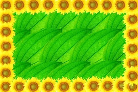 Sunflower frame on leaf background Stock Photos