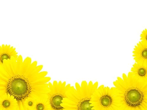Sunflower frame Stock Photos