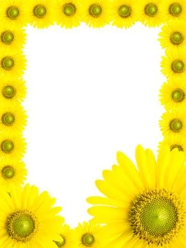 Sunflower frame Stock Photos
