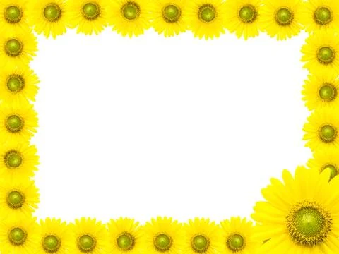 Sunflower frame Stock Photos