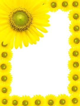 Sunflower frame Stock Photos