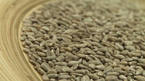 Sunflower grain 1 Stock Footage 23278960