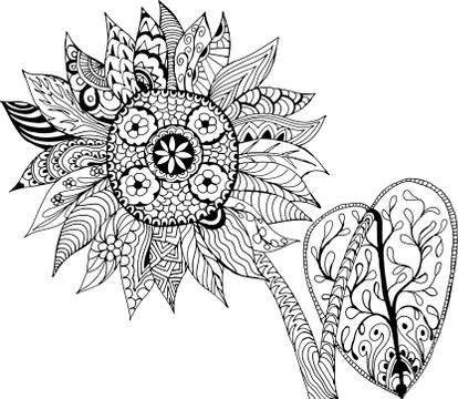 Sunflower. Hand drawn patterns for coloring.  Illustrazione stock