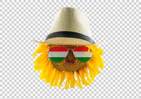 Sunflower in a hat and glasses in the form of the Hungarian flag Stock Illustration