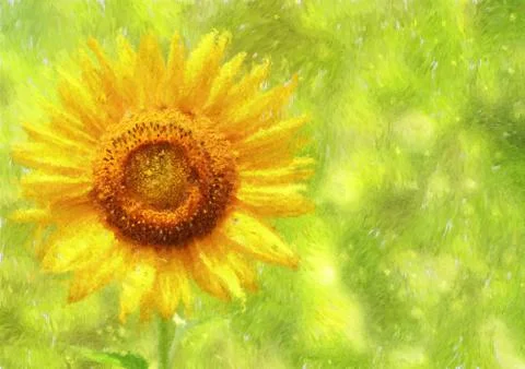 Sunflower / Heli... Illustrazione stock