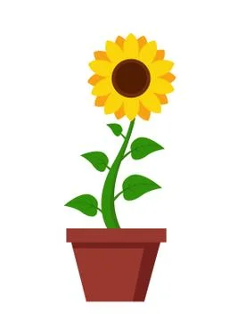 Sunflower icon isolated on white background Stock Illustration