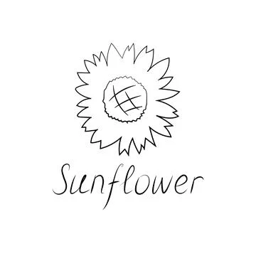 Sunflower icon isolated on white background, card template, for book, cover Stock Illustration